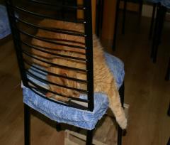 11-01-16.-Ruggi.Cene_09r.JPG - 65kb