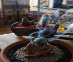 15-01-22.-DragoBruciaIncenso.4r.JPG - 180kb