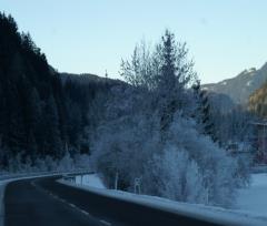 11-01-03.-LungoAvisio