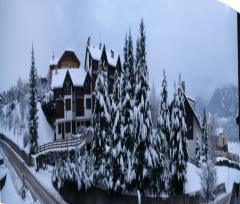 13-01-21.-Nevicata_01r.JPG - 48kb