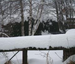 13-01-21.-Nevicata_03r.JPG - 116kb