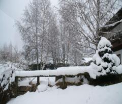 13-01-21.-Nevicata_04r.JPG - 152kb