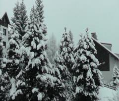 13-01-22.-Nevicata_04r.JPG - 100kb