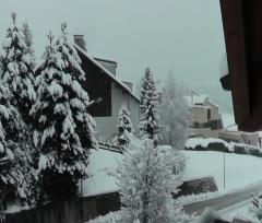 13-01-22.-Nevicata_05r.JPG - 85kb