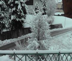 13-01-22.-Nevicata_08r.JPG - 119kb
