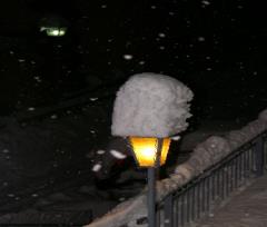 14-01-31.0r.JPG - 118kb