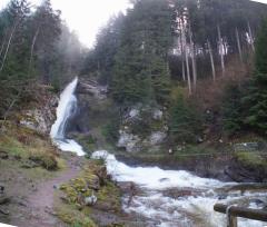 14-11-16.-LaCascata.2r.JPG - 158kb