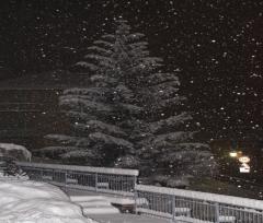 DSC07944r.JPG - 234kb