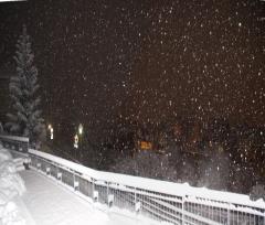 DSC07946pr.JPG - 82kb