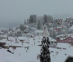 S1610014r.JPG - 72kb